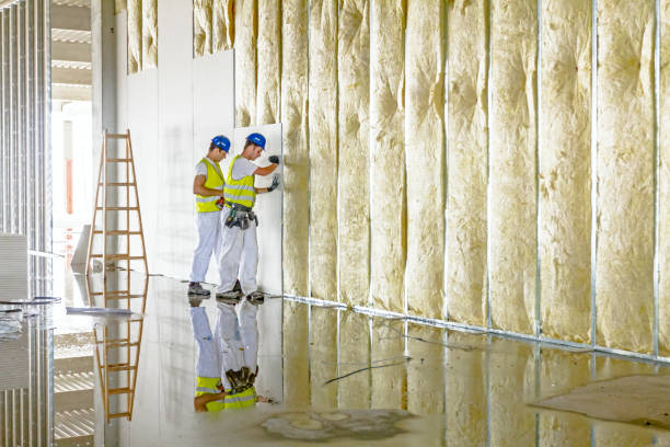 Best Spray Foam Insulation in Fifth Street, TX